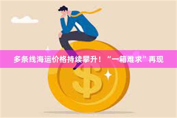 多条线海运价格持续攀升！“一箱难求”再现