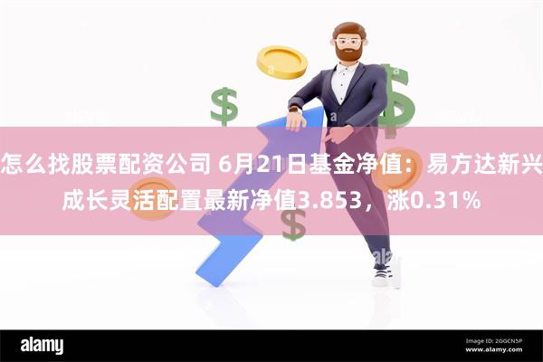 怎么找股票配资公司 6月21日基金净值：易方达新兴成长灵活配置最新净值3.853，涨0.31%