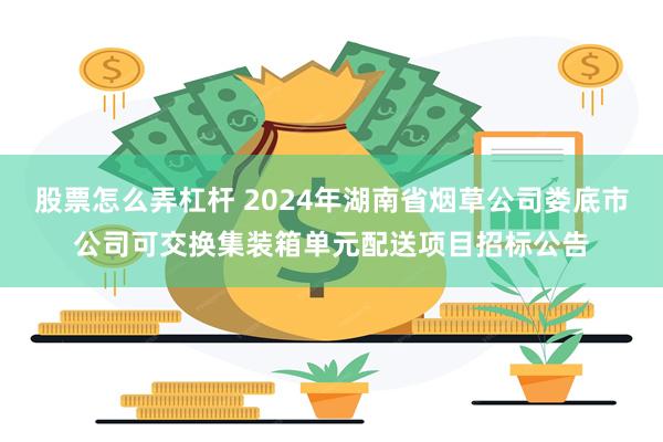 股票怎么弄杠杆 2024年湖南省烟草公司娄底市公司可交换集装箱单元配送项目招标公告