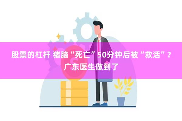 股票的杠杆 猪脑“死亡”50分钟后被“救活”？广东医生做到了