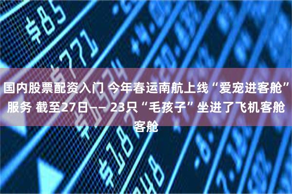 国内股票配资入门 今年春运南航上线“爱宠进客舱”服务 截至27日—— 23只“毛孩子”坐进了飞机客舱