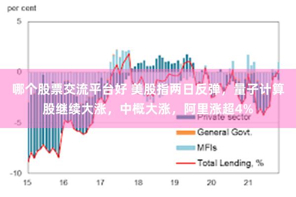 哪个股票交流平台好 美股指两日反弹，量子计算股继续大涨，中概大涨，阿里涨超4%