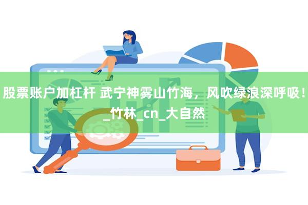 股票账户加杠杆 武宁神雾山竹海，风吹绿浪深呼吸！_竹林_cn_大自然
