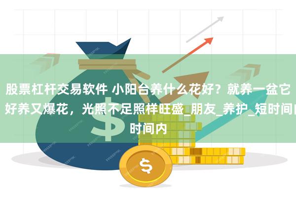 股票杠杆交易软件 小阳台养什么花好？就养一盆它，好养又爆花，光照不足照样旺盛_朋友_养护_短时间内