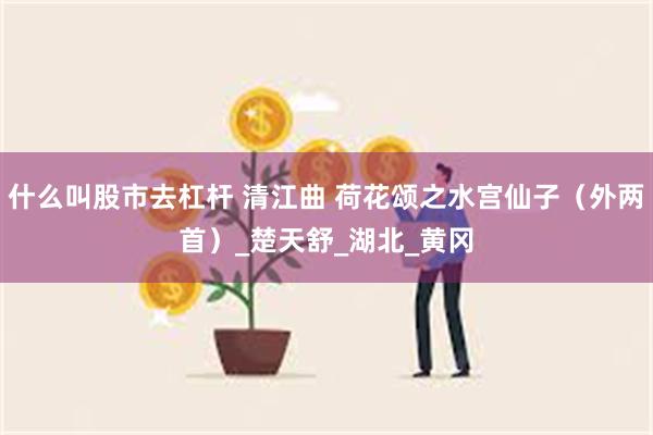 什么叫股市去杠杆 清江曲 荷花颂之水宫仙子（外两首）_楚天舒_湖北_黄冈