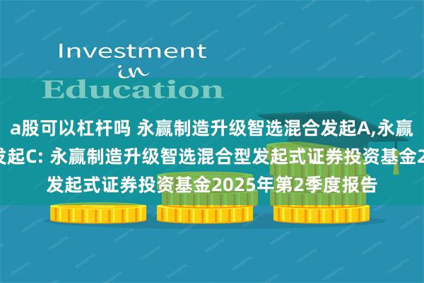 a股可以杠杆吗 永赢制造升级智选混合发起A,永赢制造升级智选混合发起C: 永赢制造升级智选混合型发起式证券投资基金2025年第2季度报告
