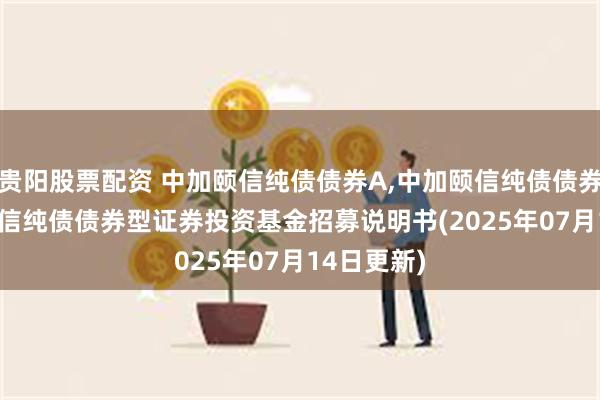 贵阳股票配资 中加颐信纯债债券A,中加颐信纯债债券C: 中加颐信纯债债券型证券投资基金招募说明书(2025年07月14日更新)