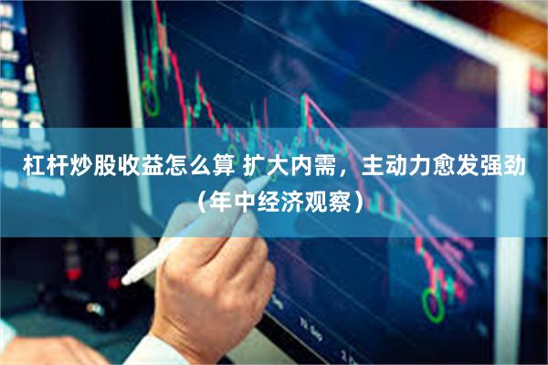 杠杆炒股收益怎么算 扩大内需，主动力愈发强劲（年中经济观察）